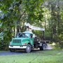 Photo of Olive Branch Tree Care