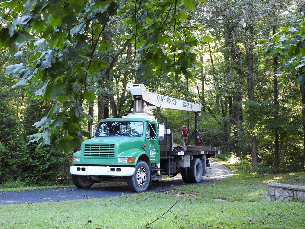 OLIVE BRANCH TREE CARE 2016 Stephanie Kaye Dr, La Grange, Kentucky