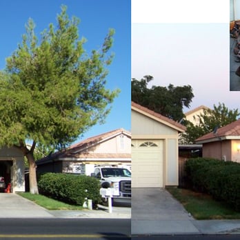 R & J Tree Service - Before and after photo of my Allepo pine tree that R&J Tree Service removed. - Tree Services Near Me - Apple Valley, California R & J Tree Service - Before and after photo of my Allepo pine tree that R&J Tree Service removed. - Tree Services Near Me - Apple Valley, California