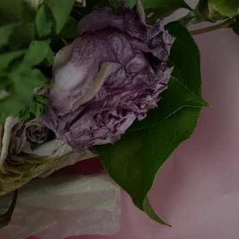 Dannhiflowers - This place sneak in some dead flowers. What a shame. - Florists Near Me - San Gabriel, California Dannhiflowers - This place sneak in some dead flowers. What a shame. - Florists Near Me - San Gabriel, California