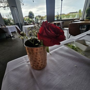 Chef Adrianne's Vineyard Restaurant and Bar - Steakhouses Near Me - Miami, Florida Chef Adrianne's Vineyard Restaurant and Bar - Steakhouses Near Me - Miami, Florida
