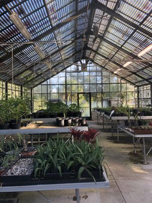 UCF Arboretum by null