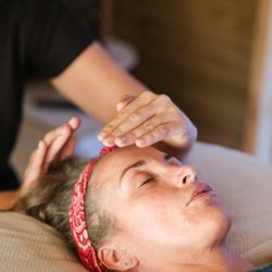 Blue Jay Totem - A reiki session