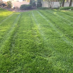 Zotelo's Lawncare - Clean stripes and fresh cut in Winston-Salem