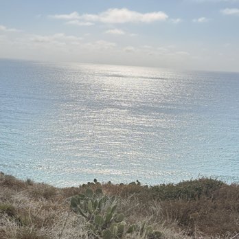 Torrey Pines State Reserve - Parks Near Me - La Jolla, California
