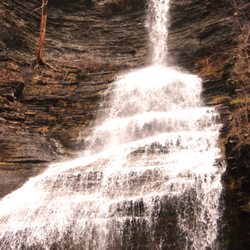 Aunt Sarah's Waterfall