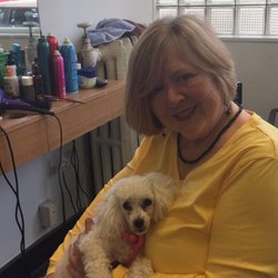 Bella Hair Salon