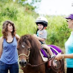 Healing Horses Kauai