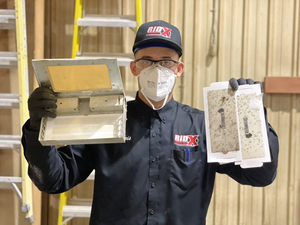 RIDX PEST CONTROL 191 Photos & 11 Reviews Pest Control 425 N