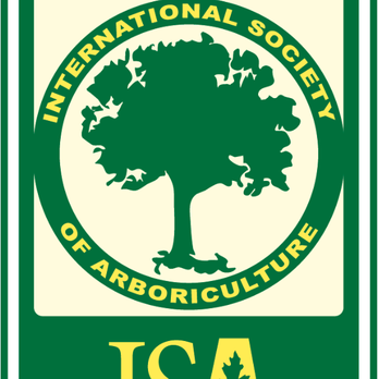 Action Tree Care - the international society of arborcultureture - Tree Services Near Me - Santa Barbara, California