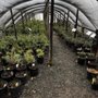 Photo of Woods Creek Nursery