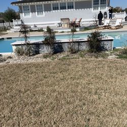Big Dog Lawn and Landscaping - Before