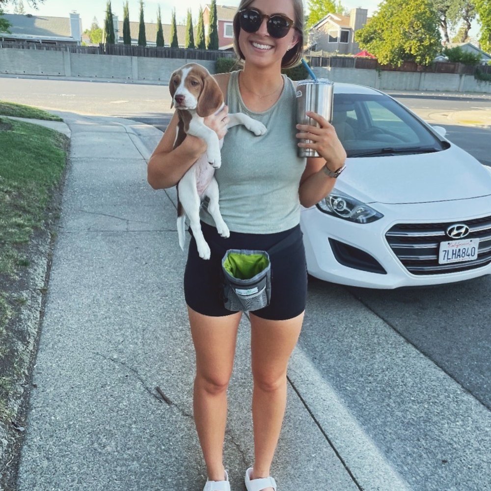 On Command Dog Training - TRAINING FANNY PACK ALWAYS ON! - Pet Training Near Me On Command Dog Training - TRAINING FANNY PACK ALWAYS ON! - Pet Training Near Me