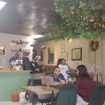 Eden Coffee & Tea - Coffee & Tea Near Me - Houston, Texas