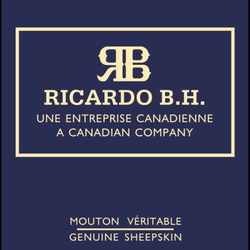 Ricardo BH - Ricardo BH logo
