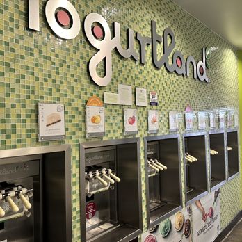 Yogurtland - Inside - Ice Cream & Frozen Yogurt Near Me - Carrollton, Texas