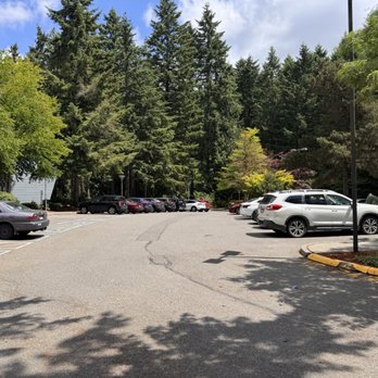 Federal Way Library - Parking area - Libraries Near Me - Federal Way, Washington Federal Way Library - Parking area - Libraries Near Me - Federal Way, Washington