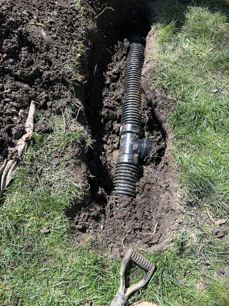 Slide of Root Busters