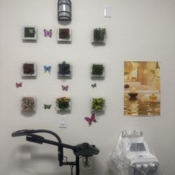 Anna Skin Care & Waxing