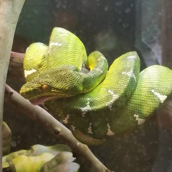Phoenix Zoo - Zoos Near Me - Phoenix, Arizona