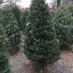 JG Brands Christmas Tree Sales, Inc. - My christmas tree!!!