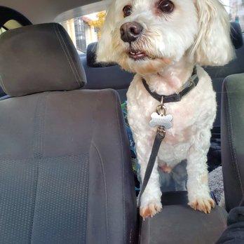 PetSmart - Pet Groomers Near Me - Monrovia, California PetSmart - Pet Groomers Near Me - Monrovia, California