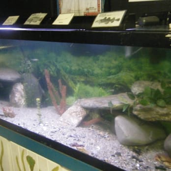 Beavertail Aquarium - Aquariums Near Me - Jamestown, Rhode Island