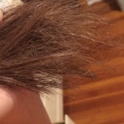 Great, now I have to cut my hair and it wasn't like this before. I'm ready to get my money back.