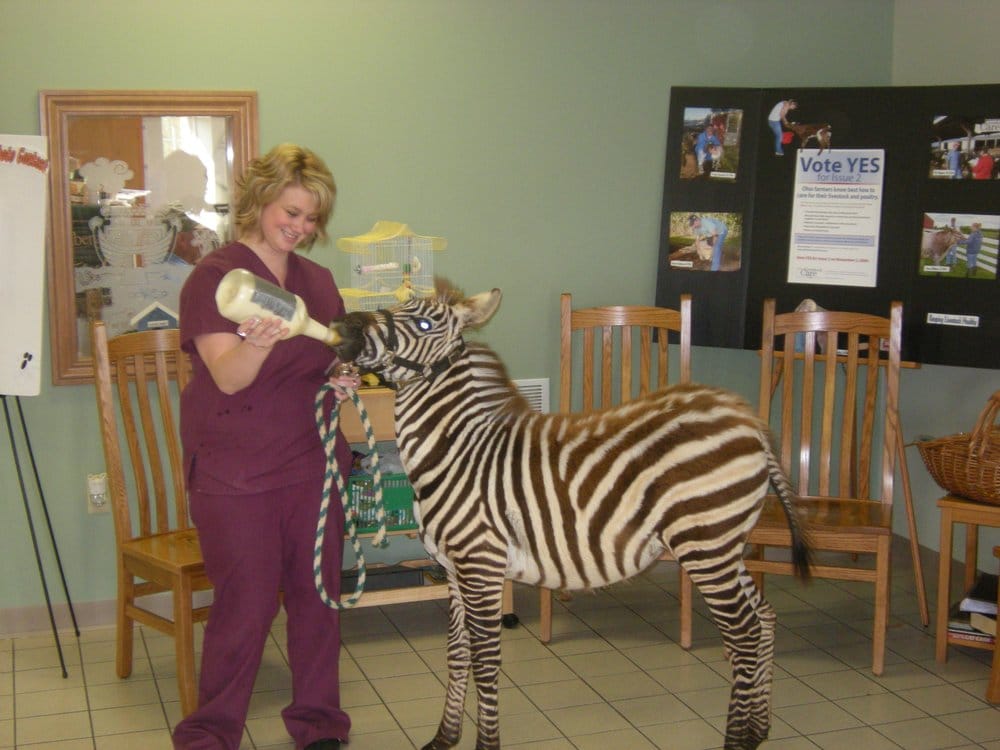 FEEDER CREEK VETERINARY SERVICES Updated September 2024 12575