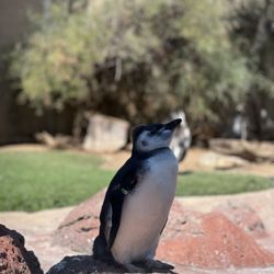 user provided SeaWorld San Diego photo