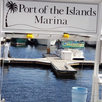 Manatee Sightseeing and Wildlife Adventures - Boat Tours Near Me - Naples, Florida Manatee Sightseeing and Wildlife Adventures - Boat Tours Near Me - Naples, Florida