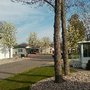 Old Oak Trails Estates