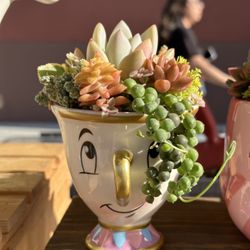 The Opulent Succulent - Chip Succulent Arrangement
