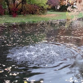 Cold Springs Trout Farm - Fish feeding frenzie - Lakes Near Me - Ogden, Utah Cold Springs Trout Farm - Fish feeding frenzie - Lakes Near Me - Ogden, Utah