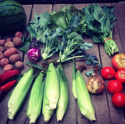 Brookfield Farm by null