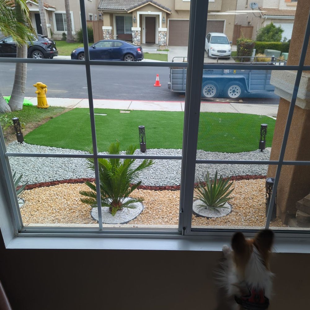 Environmental Tree Service and Landscape - dog looking out a window - Tree Services Near Me Environmental Tree Service and Landscape - dog looking out a window - Tree Services Near Me