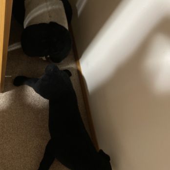 All Seasons Vacation Rentals - Stuffed animals were thrown in the closet on the floor - Vacation Rentals Near Me - Welches, Oregon All Seasons Vacation Rentals - Stuffed animals were thrown in the closet on the floor - Vacation Rentals Near Me - Welches, Oregon