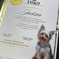 DSK9