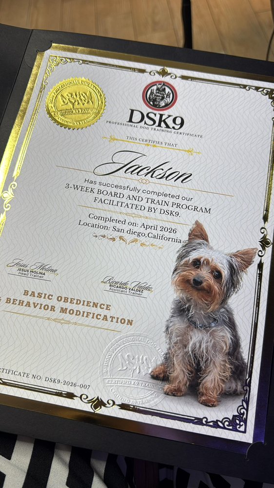 DSK9 - pet boarding facility in San Diego, CA