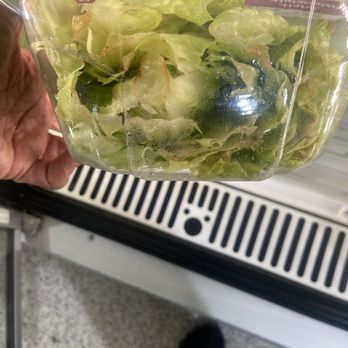 Publix - Even the Romaine lettuce looked bad - Grocery Near Me - Easley, South Carolina Publix - Even the Romaine lettuce looked bad - Grocery Near Me - Easley, South Carolina