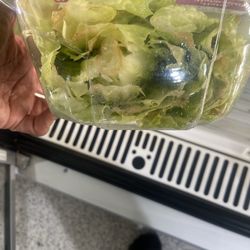 Publix - Even the Romaine lettuce looked bad