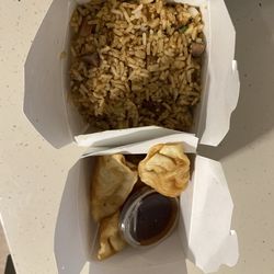 City Dragon - Beef fried rice and pork dumplings