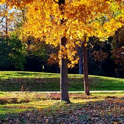 Hidden Creek Country Club