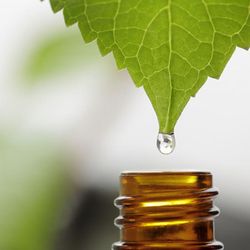 Healthwise Behavioral Health & Wellness - Healthwise Behavioral Health and Wellness Essential Oils, Meditation, Nutrition, Wellness Maple Grove, MN