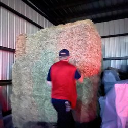 Tractor Supply - Hay bales! In their barn.