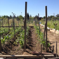 Al Radka Park - Community garden