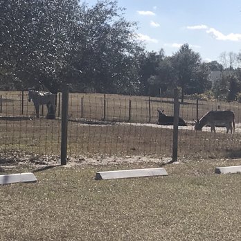 Bill Frederick Park at Turkey Lake - Parks Near Me - Orlando, Florida