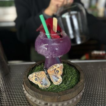 Rustic Root - Cocktail Bars Near Me - San Diego, California Rustic Root - Cocktail Bars Near Me - San Diego, California