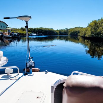 Manatee Sightseeing and Wildlife Adventures - Boat Tours Near Me - Naples, Florida Manatee Sightseeing and Wildlife Adventures - Boat Tours Near Me - Naples, Florida