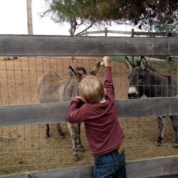 Whirlawind Ranch - Great place for kids.